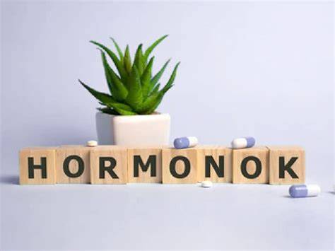 Infografika: ciklusfüggő hormonok és stimulációs protokollok összefüggése