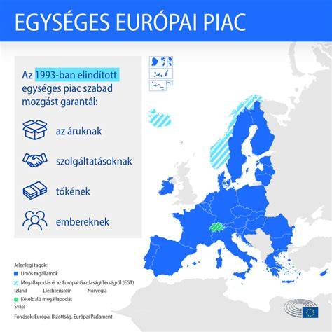 Infografika: Mohácsi fodrászok elérhetőségei és szolgáltatások