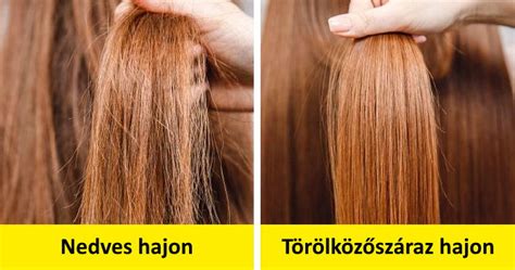 Egészséges fejbőr és haj ábrázolása