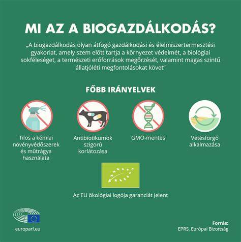 Infografika: Időpontfoglalás és késési szabályok