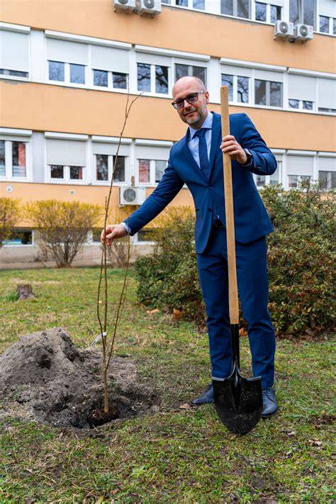 Nyírő Gyula portré és munka közben