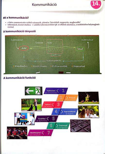 Infografika: Epilátorok típusa és funkciói