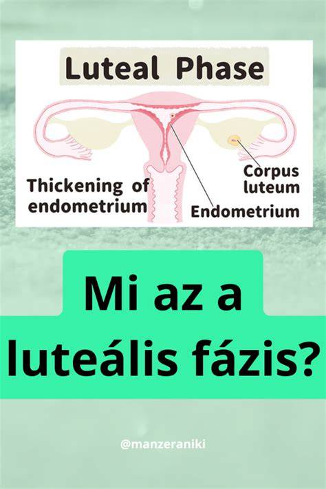 Infografika: progeszteron a ciklusban és a luteális fázis