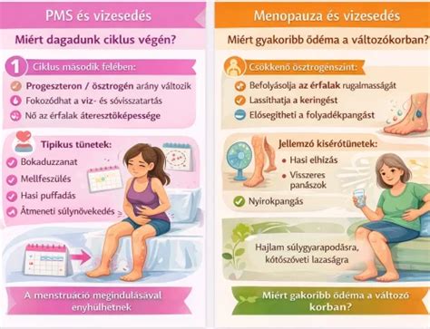 Infografika a mellszőrzet biológiájáról és hormonális kapcsolatairól