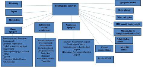 Egészségügyi szabályzat ábra