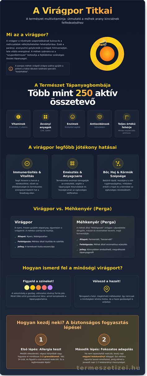 Áttekintő infographic a természetes hajpakolások összetevőiről