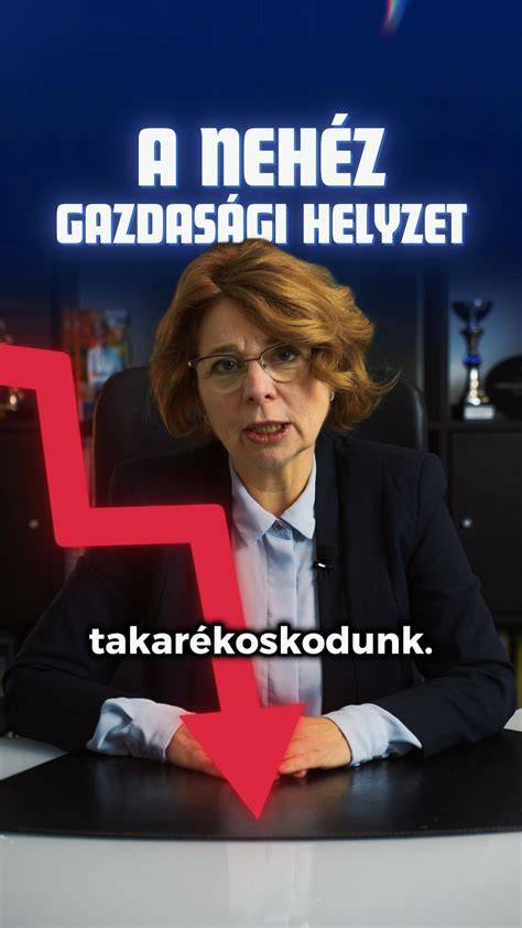 Infografika: A Vän szalon és a csapat felépítése, növekedési lépések és díjkategóriák