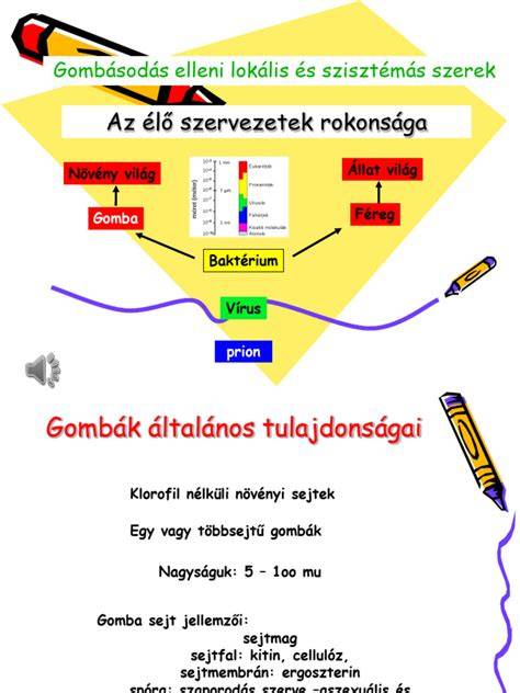 Gombásodás és allergia elleni bőrápolási diagram