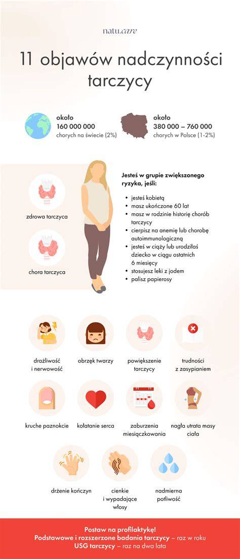 infografika-Wellaton-festésmenete