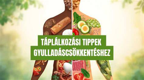 Táplálkozási tippek infografika