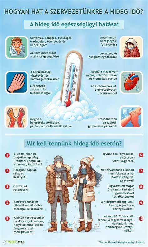 Hőkárosodás és védekezés infografika