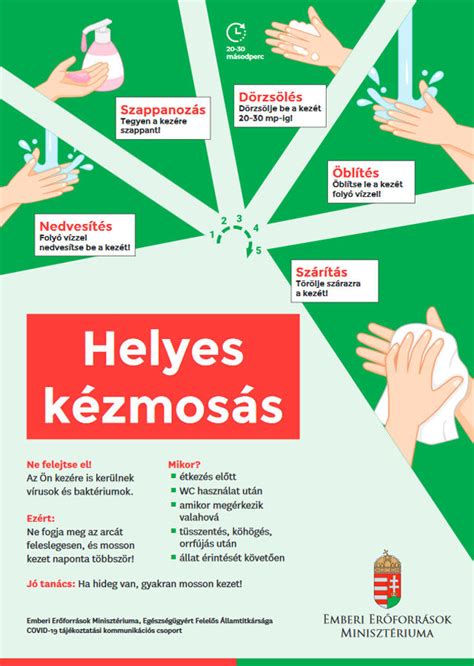 Infografika a helyes hajmosási technikáról