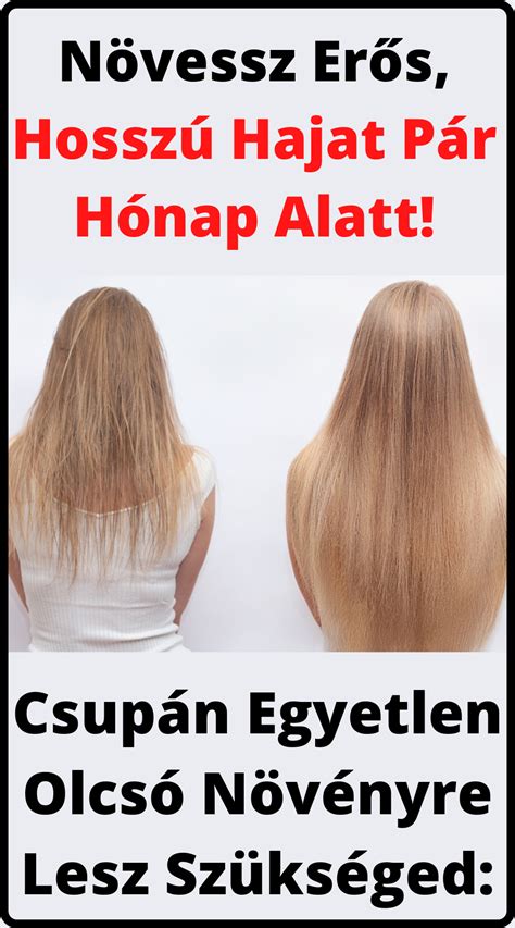 Infografika: A hajciklus fázisai és a hosszú haj szempontjai