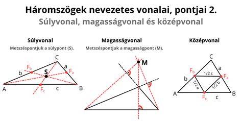 Átfogó vizuális ábra: a szilikonmentes samponok előnyei és összehasonlítási pontjai