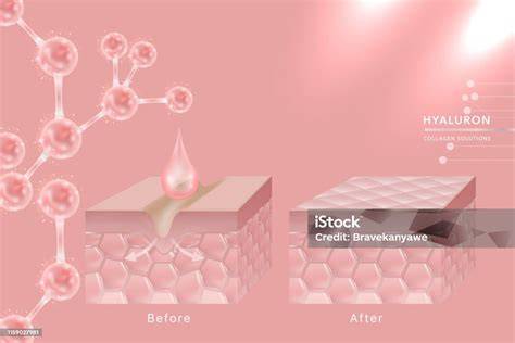 Hialuronsav és vegán Bonding Density illusztráció