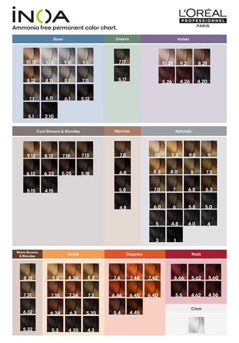 Infografika a L’Oréal Professionnel és INOA hajfestésről