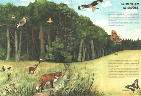 Kincsesláda az erdőben