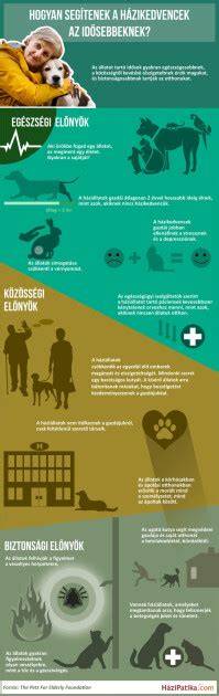 Infografika: macska szőrszálak típusai és vedlés fázisai