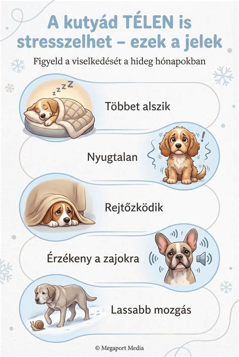 Infografika a kutya szőrzetének pH-értékéről