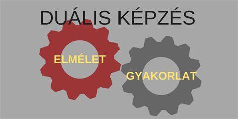 Infografika a duális képzés folyamatról és a partnerek szerepéről