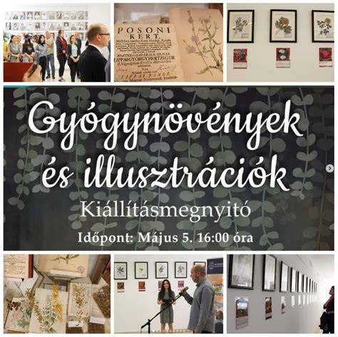 Képek és illusztrációk a fentebb bemutatott fazonokról és lépésekről