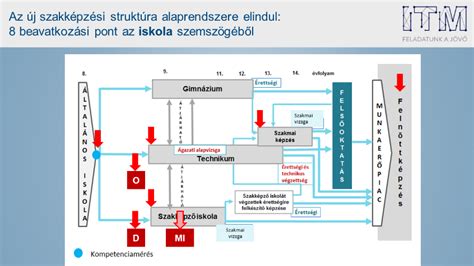 Szakképzési rendszer diagram