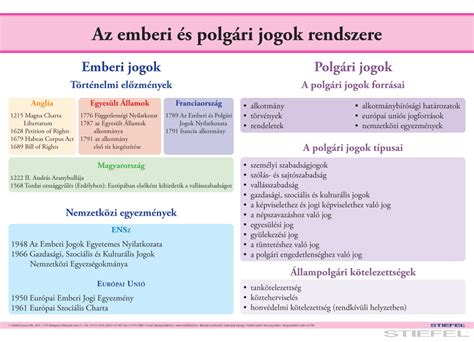 Kép: E-Light rendszere az RF és IPL összekapcsolásáról