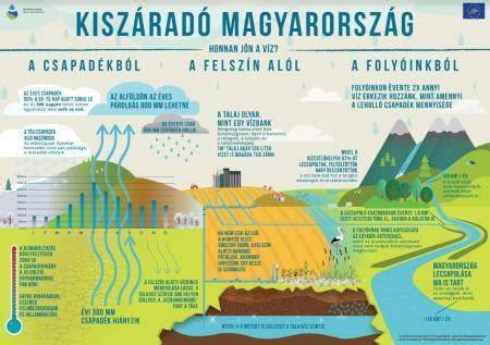természetes hajápolási megoldások infografika