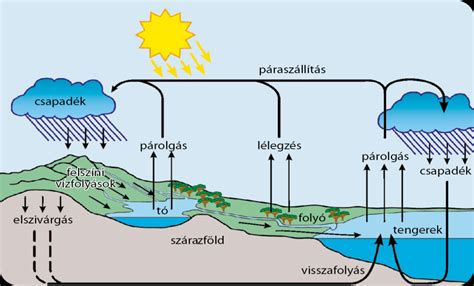 Dauerolás folyamata