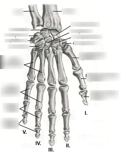 diagram a kéz kerületének méréséről