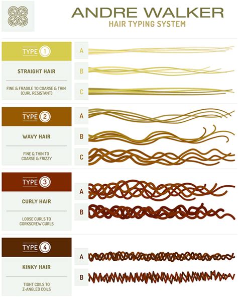 Andre Walker hajtípus-rendszer