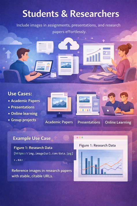 https://example.com/images/hair-strass-transfer-infographic.jpg
