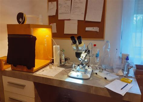 Paróka tartásához és rögzítéséhez szükséges eszközök vizuális összefoglaló