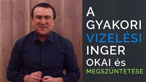 vizelési inger vizualizációs ábra