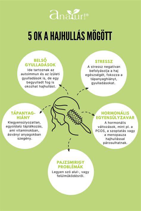 hajhullas vizualis okok infographic