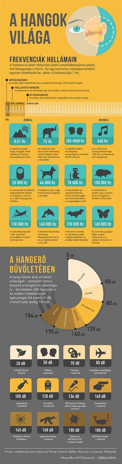 vizuális összkép hajápolás látványos infografika