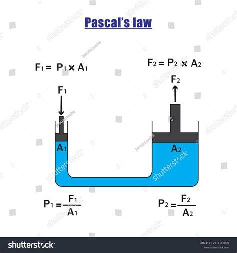 Hajnövekedés faktorai szemléltető diagram