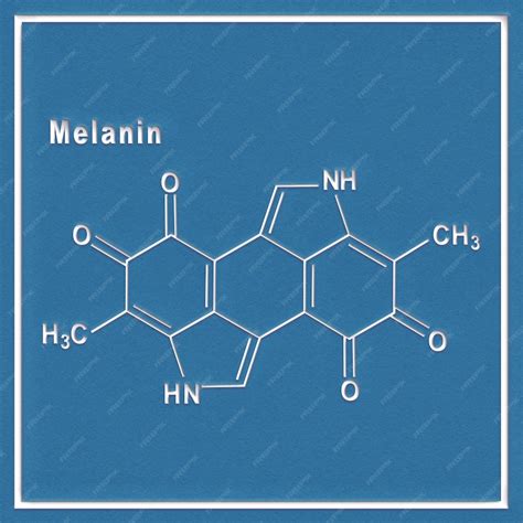 A melanin termelése a hajban