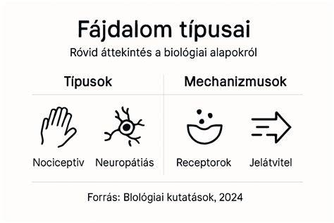 Infografika a hajzselé típusairól és tartásáról