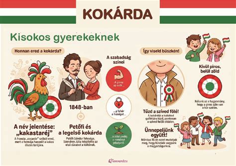 Infografika a rizsvíz történetéről és elkészítéséről