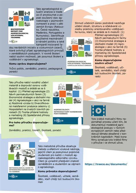 Infografika: a szempillák felhelyezésének 8 alaplépése