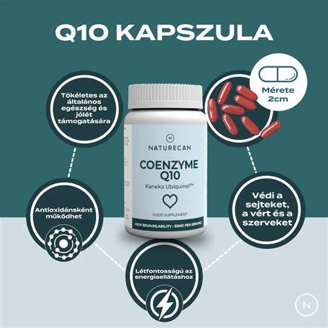 Infografika: Koenzim Q10 hatása a hajra