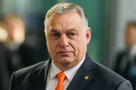 https://example.com/images/bajusz_szakall_kormyelet.png
