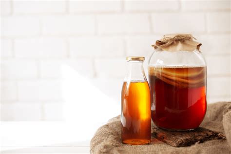 Kombucha és borotvakagyló