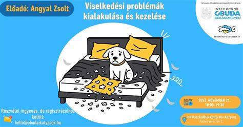 Könnyezős problémák kezelése infografika