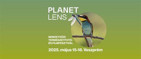 Fotó a fesztiválos és zenés színtérről, illusztráció a témához