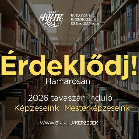 Infografika a budapesti kereskedelmi övezetekről és fő útvonalakról