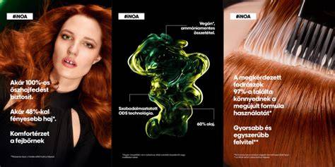 Infografika: Loreal Inoa és kapcsolódó professzionális fodrászati eszközök felhasználási területei