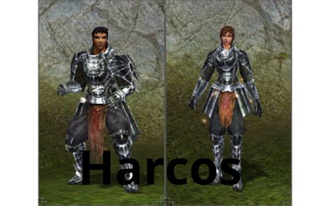 Metin2 harcos karakter