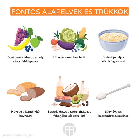 Infografika: alacsony olasz konty felépítése és rögzítési pontok